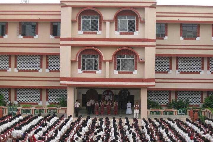 Carmel Convent Senior Secondary School Laxmipur Raigarh Admission